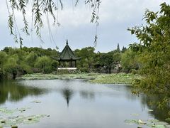 -无锡蠡湖国家湿地公园-蠡园