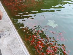 -河北村民俗体验园