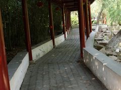 -定园