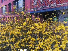 -清华大学-清芬园