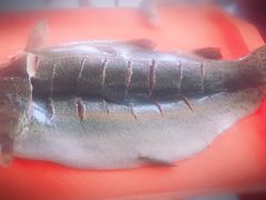 -老李客栈民宿餐厅