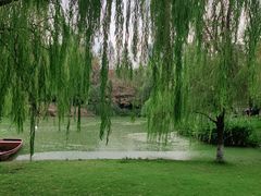 -沐仙湖湿地公园