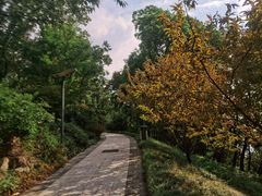 -上海市保健医疗中心