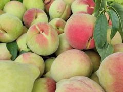 鹰嘴桃-云南蒙自过桥米线(丰庆路店)