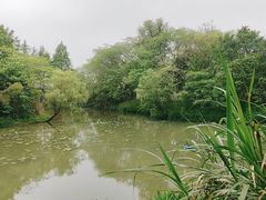 -西溪国家湿地公园