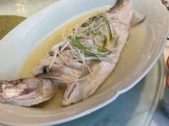 清蒸白鱼-二十八里太湖船菜(吉祥路店)
