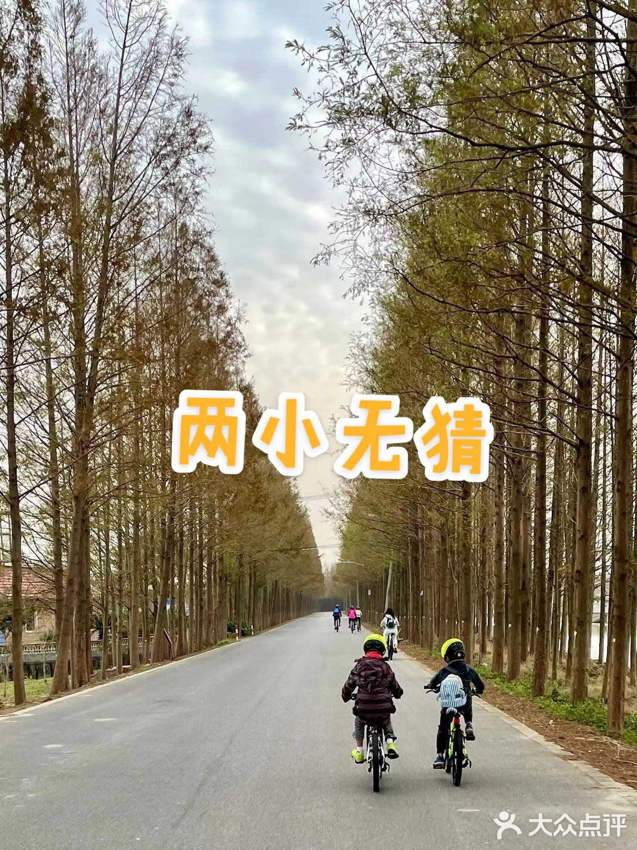横沙岛30km环岛骑行挑战成功✔️