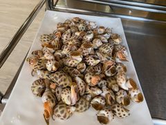 -越百海海鲜蒸锅(乐山店)