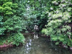 -东平国家森林公园