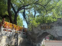 -大槐树寻根祭祖园