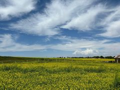 -扁都口生态休闲旅游区