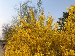 -永定河休闲森林公园