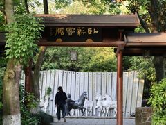 -白马涧龙池景区