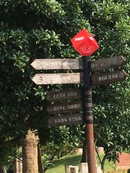 -长沙小顽国景区