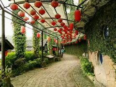 -观澜山水田园