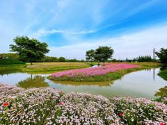 -花开海上生态园