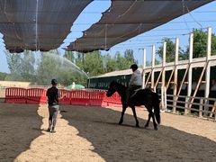 -北京群众马术培训基地