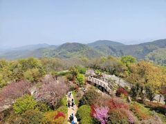 -南京老山国家森林公园