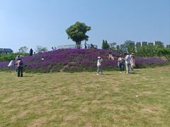 -祥源·阜阳生态乐园