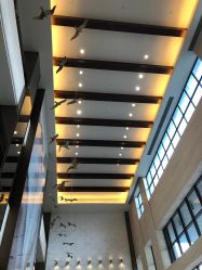点击看大图 -重庆安琪儿妇产医院-妇幼保健联盟医院