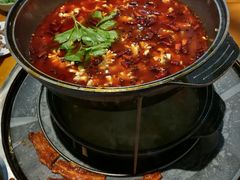 水煮乌鱼花-重庆乌鱼庄·龙滋鲜(青羊大道店)