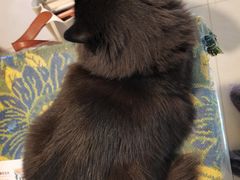 -平行世界·猫咖(首经贸店)