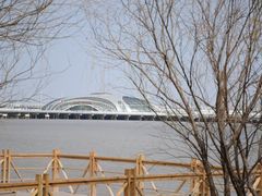 -上海吴淞炮台湾国家湿地公园