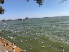 -热火朝天鲜切牛肉火锅(南强街巷店)