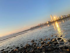 -深圳湾公园(南山区)