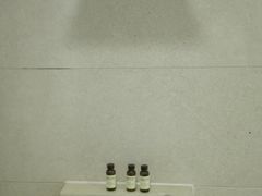 -北京兴基铂尔曼饭店
