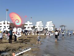 -碧海金沙