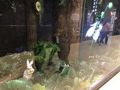-兰超汇形体健康管理中心
