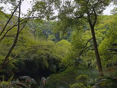 -忠山公园
