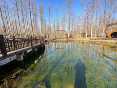 -黄海国家森林公园