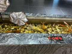 -全聚德烤鸭店(和平路店)