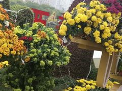 -咸阳湖景区-统一广场