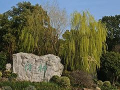 -上海鲜花港