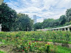 -人民公园(罗湖区)