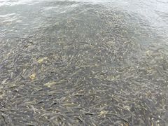 -青海湖二郎剑景区