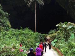 -长寿村
