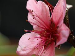 -汤山公园