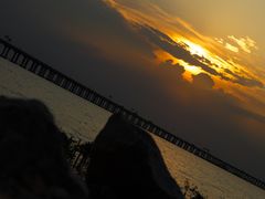 -宝安西湾红树林湿地公园