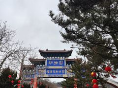 -西霞口神雕山野生动物世界