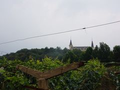 -北京张裕爱斐堡酒庄
