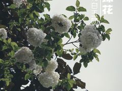 -钱王祠