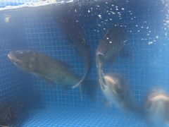 -川流不息·地道川菜·小龙虾(新松江路店)
