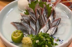 Saury Sashimi