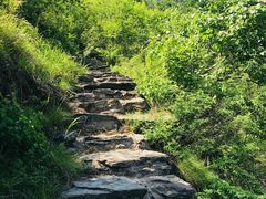 -白河湾生态旅游一条川