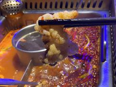 -雾都渣渣火锅(南城智汇城店)