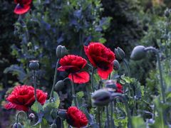 -万达广场(泰安泰山店)